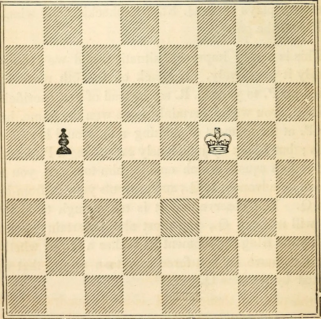 An illustration from The book of chess: containing the rudiments of the game, and elementary analyses of the most popular openings ; exemplified in games actually played by the greatest masters; including Staunton's analysis of the king's and queen's gambits, numerous positions and problems on diagrams, both original and selected; also a series of chess tales, with illustrations engraved from original designs ; the whole extracted and translated from the best sources, 1857, leaf 111