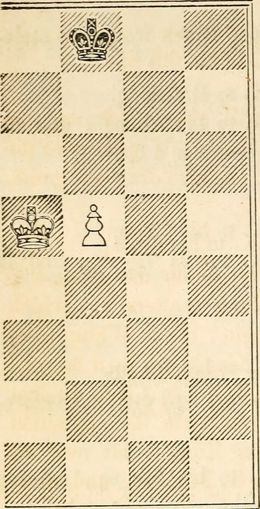 An illustration from The book of chess: containing the rudiments of the game, and elementary analyses of the most popular openings ; exemplified in games actually played by the greatest masters; including Staunton's analysis of the king's and queen's gambits, numerous positions and problems on diagrams, both original and selected; also a series of chess tales, with illustrations engraved from original designs ; the whole extracted and translated from the best sources, 1857, leaf 89