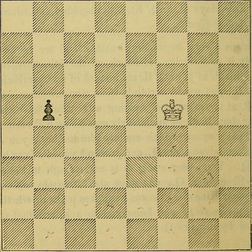 An illustration from The book of chess: containing the rudiments of the game, and elementary analyses of the most popular openings, 1882, leaf 107