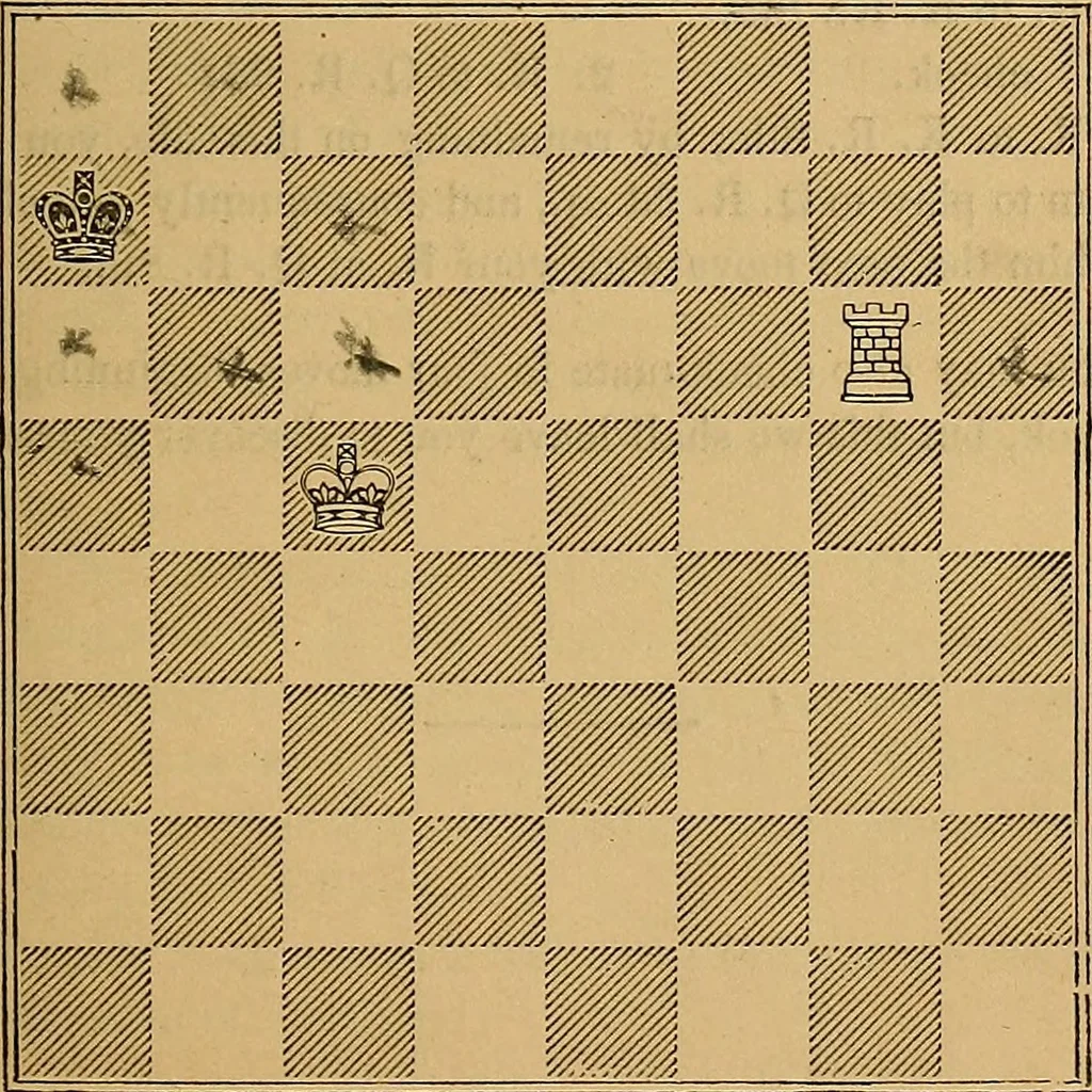 An illustration from The book of chess: containing the rudiments of the game, and elementary analyses of the most popular openings, 1882, leaf 66