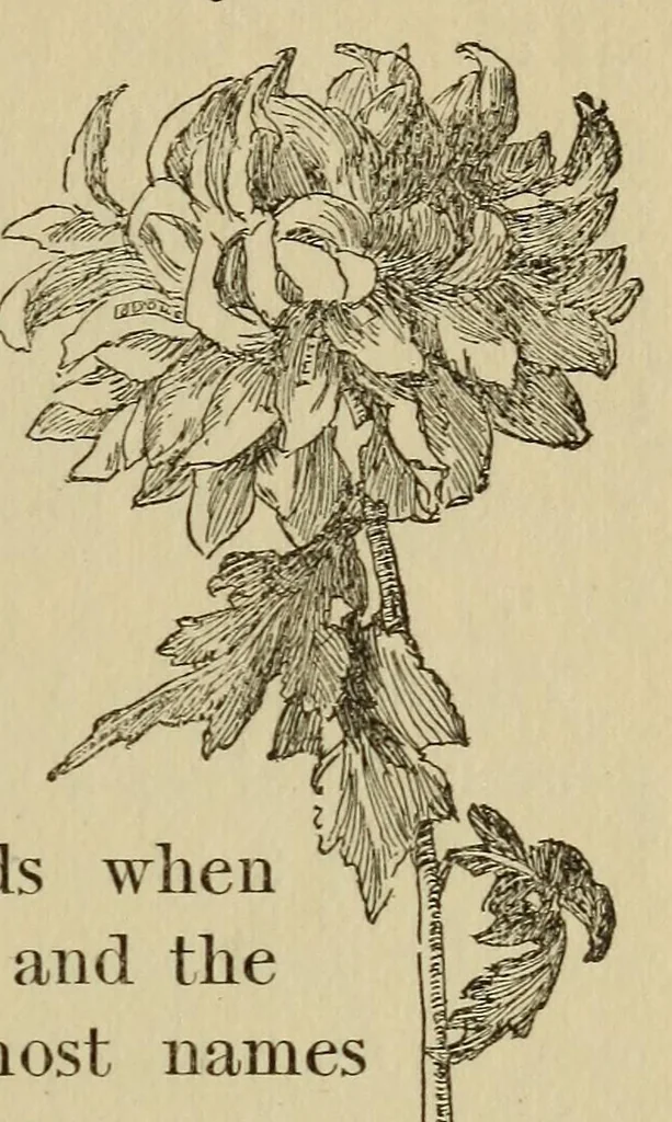 An illustration from The book of children's parties, 1903, leaf 129