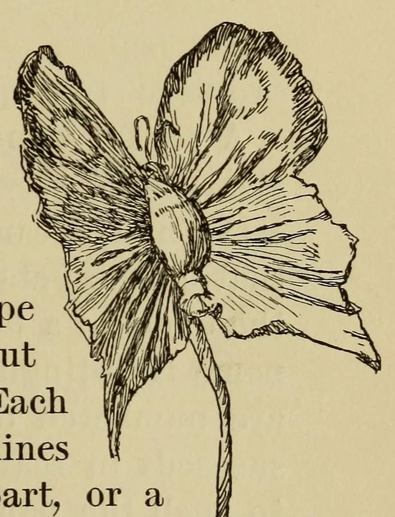 An illustration from The book of children's parties, 1903, leaf 87