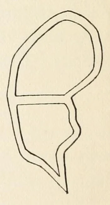 An illustration from The book of children's parties, 1903, leaf 184