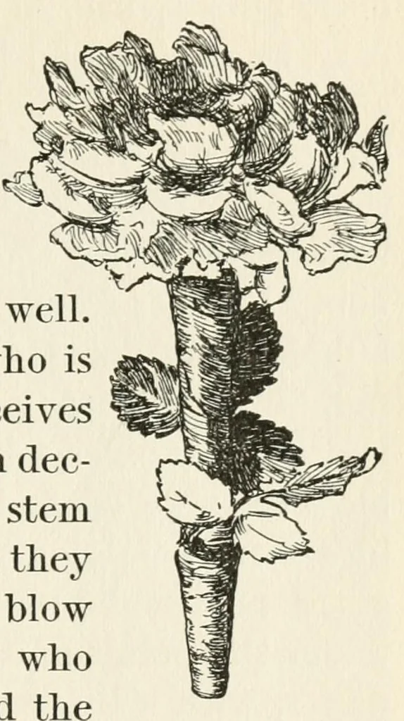 An illustration from The book of children's parties, 1903, leaf 85