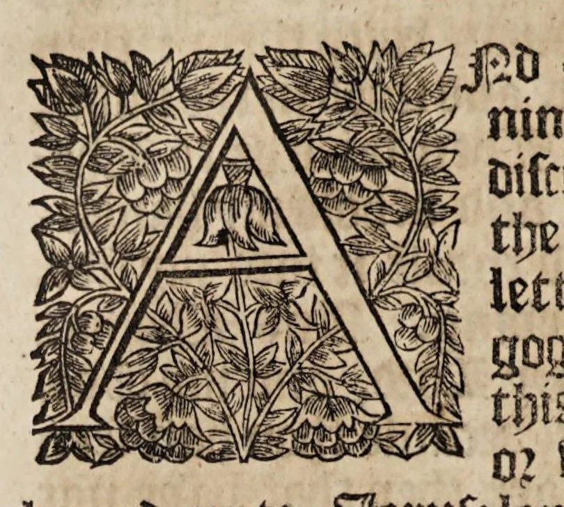 An illustration from The book of common-prayer and administration of the sacraments, and other rites & ceremonies of the Church, according to the use of the Church of England : together with the Psalter or Psalms of David, pointed as they are to be sung or said in churches, and the form & manner of making, ordaining, & consecrating of bishops, priests, and deacons, 1669, leaf 264