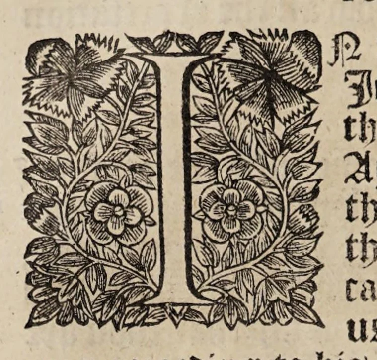 An illustration from The book of common-prayer and administration of the sacraments, and other rites & ceremonies of the Church, according to the use of the Church of England : together with the Psalter or Psalms of David, pointed as they are to be sung or said in churches, and the form & manner of making, ordaining, & consecrating of bishops, priests, and deacons, 1669, leaf 282
