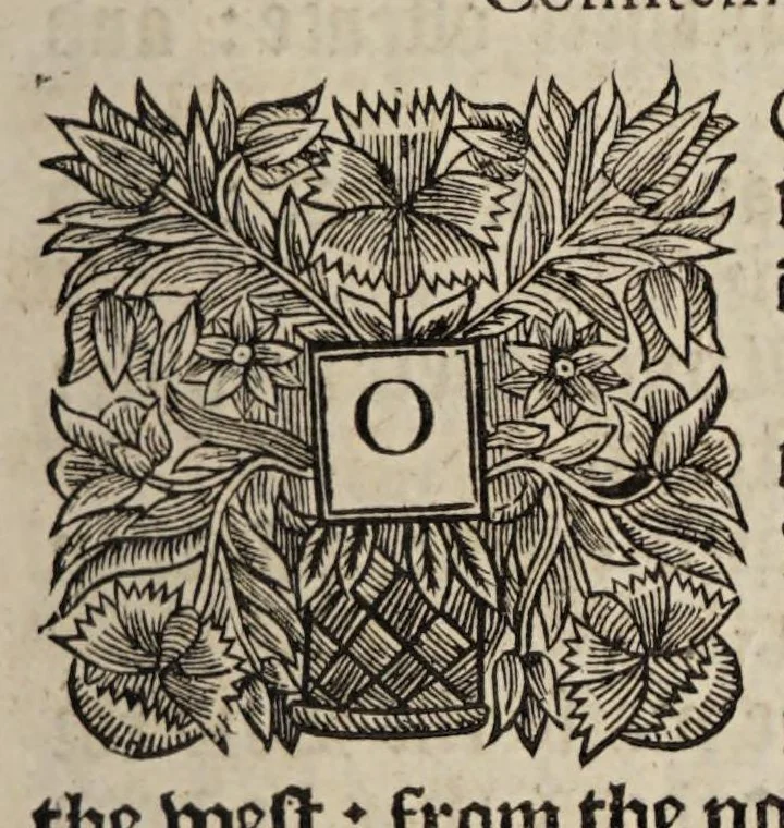 An illustration from The book of common-prayer and administration of the sacraments, and other rites & ceremonies of the Church, according to the use of the Church of England : together with the Psalter or Psalms of David, pointed as they are to be sung or said in churches, and the form & manner of making, ordaining, & consecrating of bishops, priests, and deacons, 1669, leaf 513