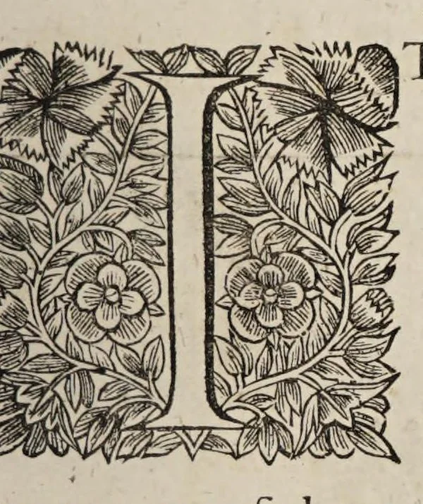 An illustration from The book of common-prayer and administration of the sacraments, and other rites & ceremonies of the Church, according to the use of the Church of England : together with the Psalter or Psalms of David, pointed as they are to be sung or said in churches, and the form & manner of making, ordaining, & consecrating of bishops, priests, and deacons, 1669, leaf 571