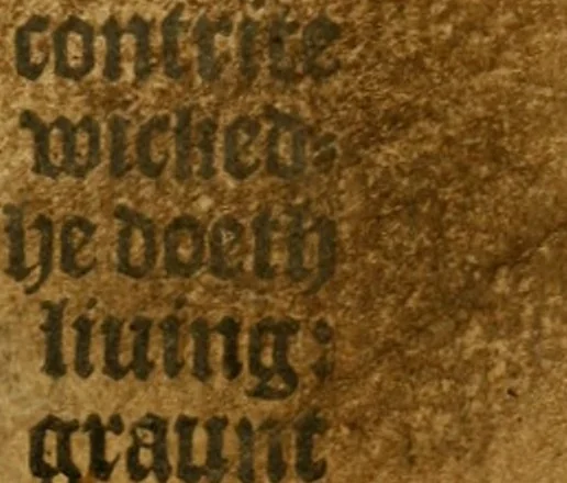 An illustration from Book of common prayer, 1588, leaf 508