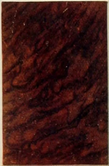 An illustration from The book of decorative furniture, its form, colour and history, 1910, leaf 268
