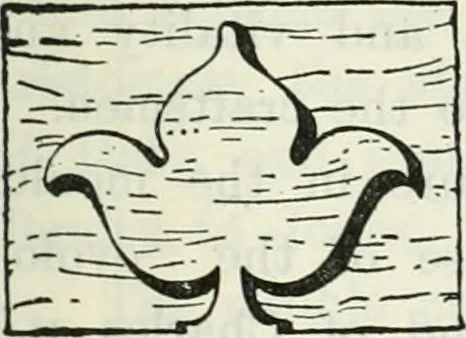 An illustration from The book of decorative furniture, its form, colour and history, 1910, leaf 318