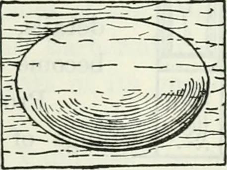 An illustration from The book of decorative furniture, its form, colour and history, 1910, leaf 318