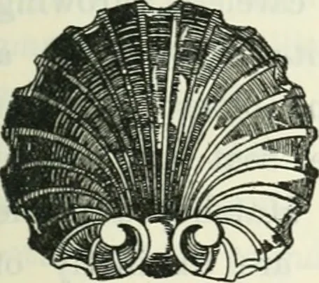 An illustration from The book of decorative furniture, its form, colour and history, 1910, leaf 530