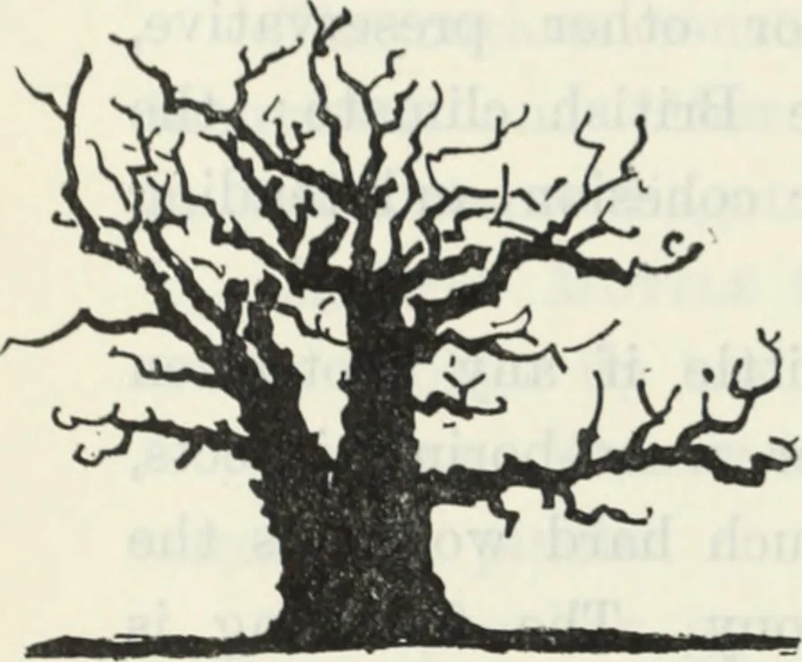 An illustration from The book of decorative furniture, its form, colour and history, 1910, leaf 407