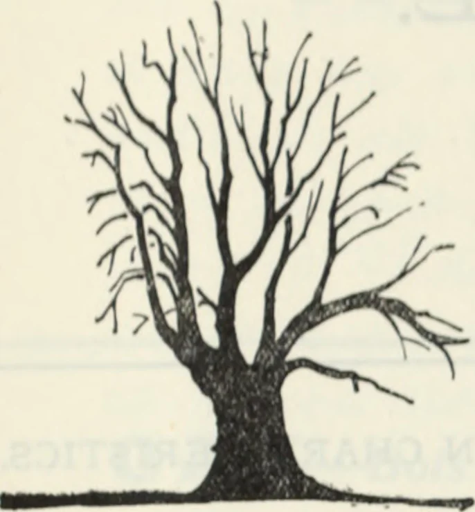 An illustration from The book of decorative furniture, its form, colour and history, 1910, leaf 409