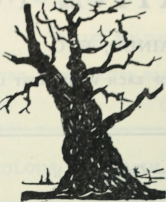 An illustration from The book of decorative furniture, its form, colour and history, 1910, leaf 409