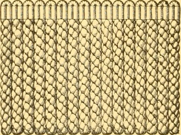 An illustration from Book of designs, 1877, leaf 33