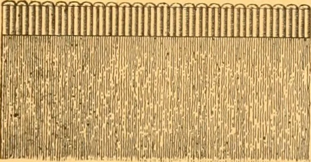 An illustration from Book of designs, 1877, leaf 36