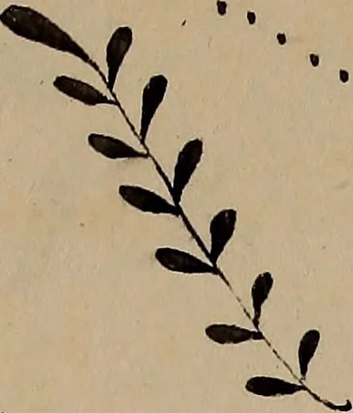 An illustration from [Book of designs, 1824, leaf 12