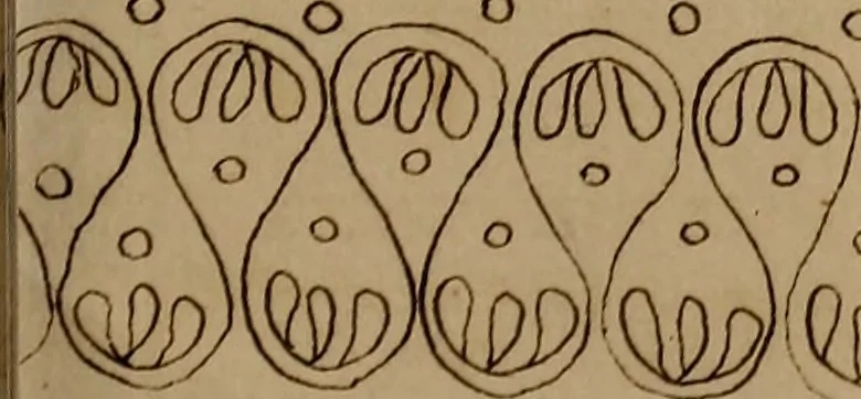 An illustration from [Book of designs, 1824, leaf 28