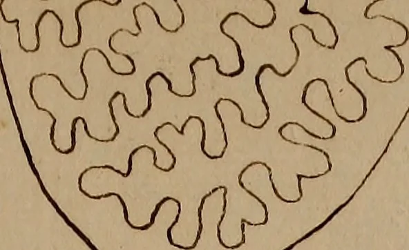 An illustration from [Book of designs, 1824, leaf 30