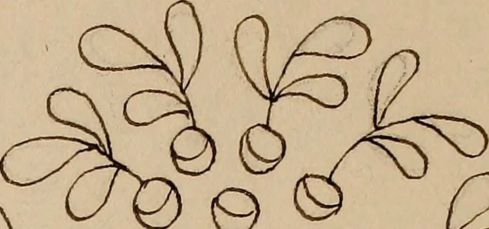 An illustration from [Book of designs, 1824, leaf 41