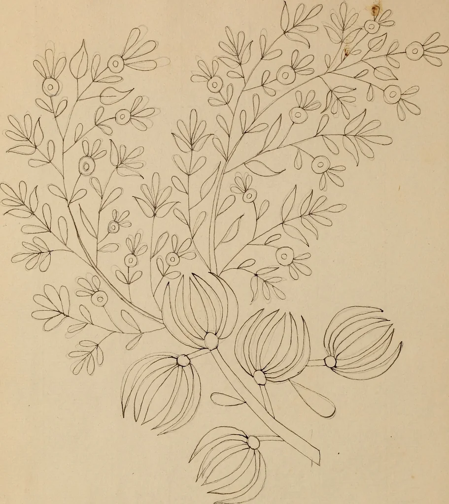An illustration from [Book of designs, 1824, leaf 55