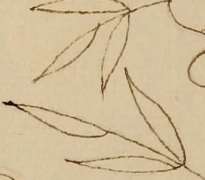An illustration from [Book of designs, 1824, leaf 57