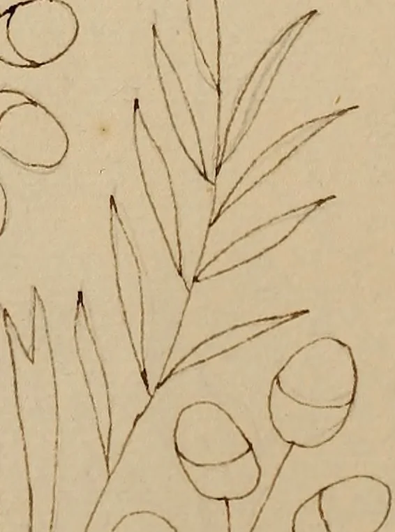 An illustration from [Book of designs, 1824, leaf 57