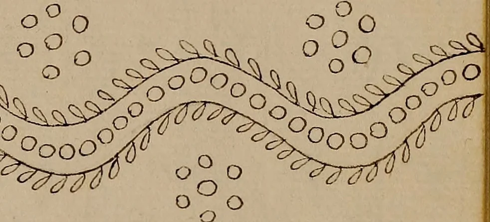 An illustration from [Book of designs, 1824, leaf 78