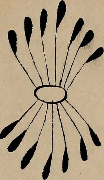 An illustration from [Book of designs, 1824, leaf 8