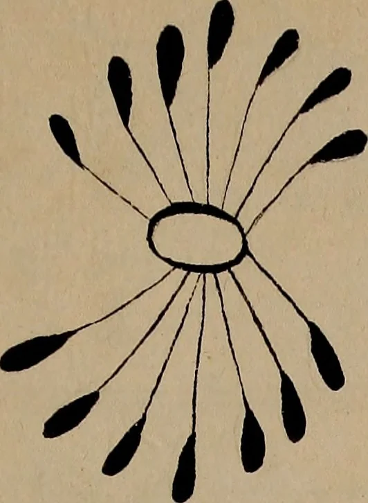 An illustration from [Book of designs, 1824, leaf 8