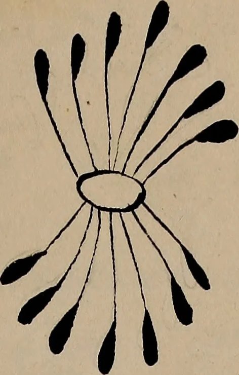 An illustration from [Book of designs, 1824, leaf 8