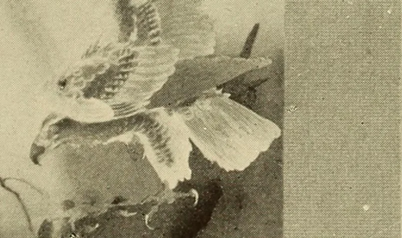 An illustration from A book of distinctive interiors;, 1912, leaf 110