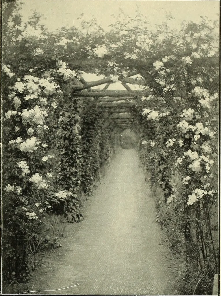 An illustration from The book of the exhibition of houses and cottages, Romford garden suburb, Gidea Park, 1911, leaf 168