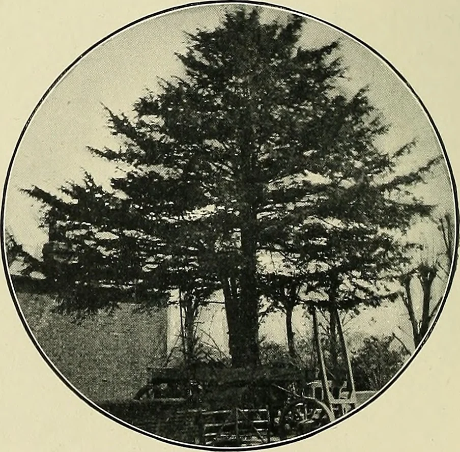 An illustration from The book of the exhibition of houses and cottages, Romford garden suburb, Gidea Park, 1911, leaf 17