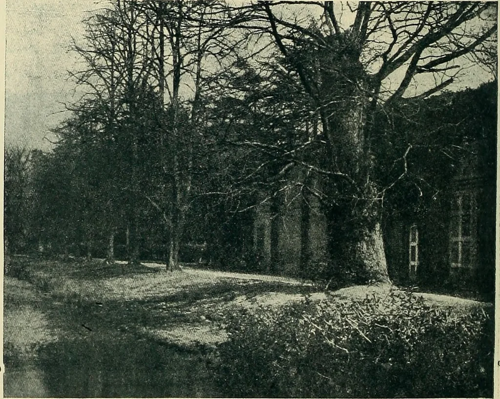 An illustration from The book of the exhibition of houses and cottages, Romford garden suburb, Gidea Park, 1911, leaf 53