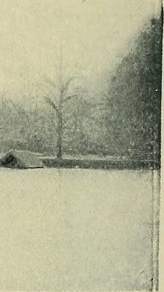 An illustration from The book of the exhibition of houses and cottages, Romford garden suburb, Gidea Park, 1911, leaf 55