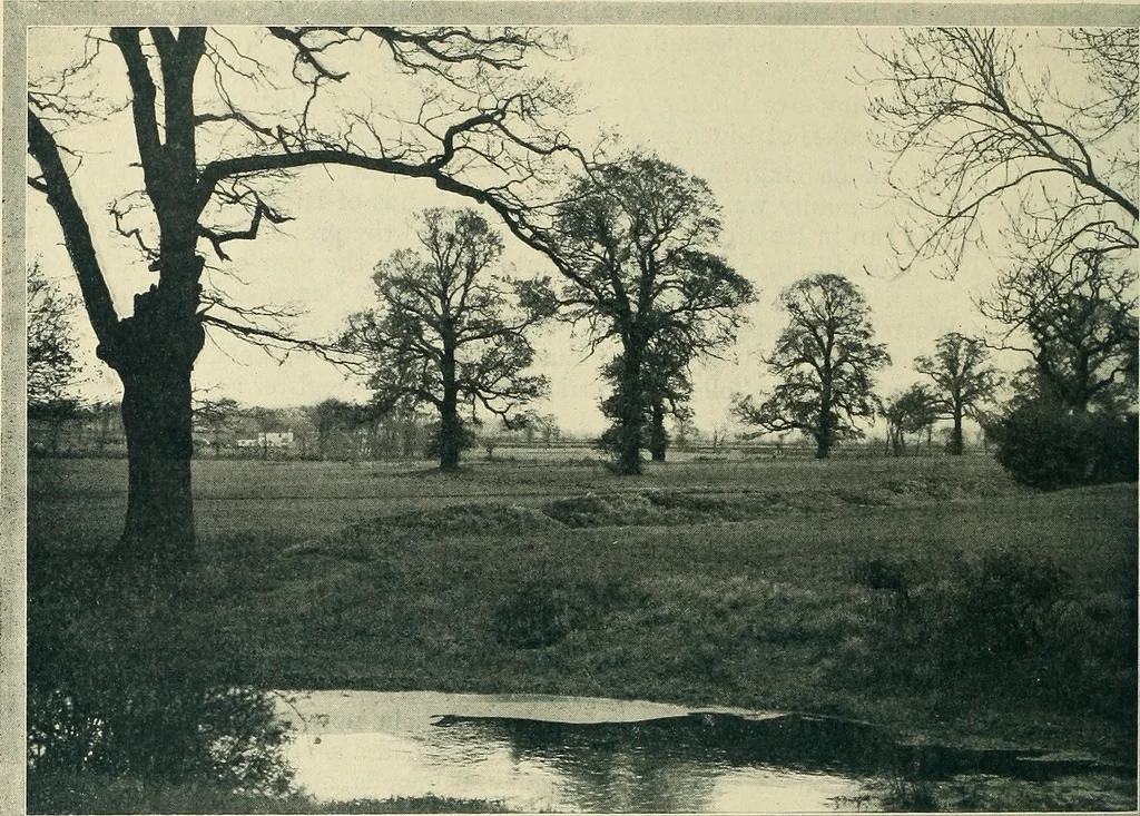 An illustration from The book of the exhibition of houses and cottages, Romford garden suburb, Gidea Park, 1911, leaf 57