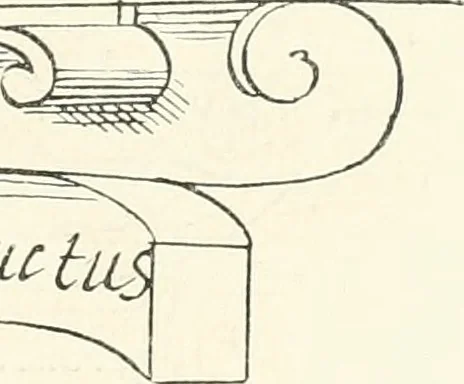 An illustration from The book of fortune : two hundred unpublished drawings, 1883, leaf 120