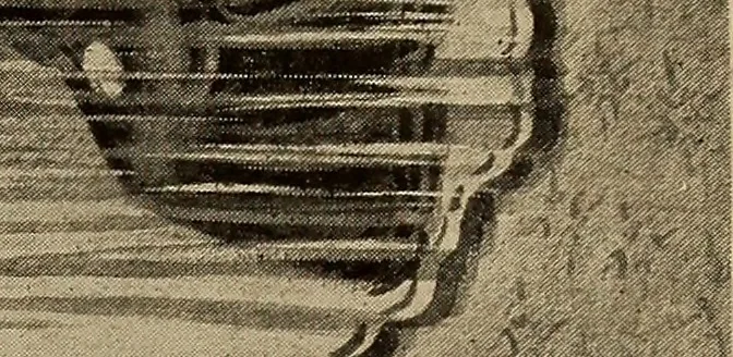 An illustration from Book of heavenly teachings, 1912, leaf 120