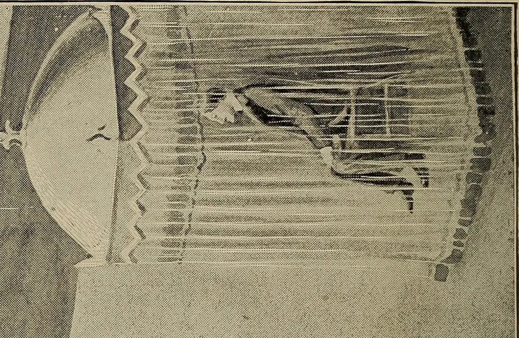 An illustration from Book of heavenly teachings, 1912, leaf 61