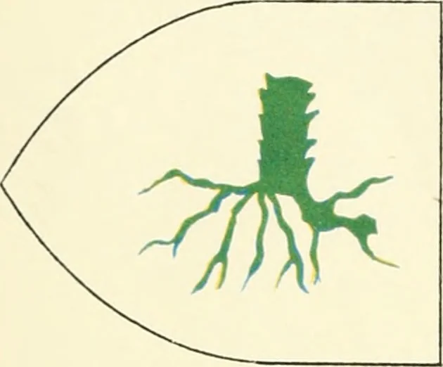 An illustration from Book of the knowledge of all the kingdoms, lands, and lordships that are in the world, 1912, leaf 71