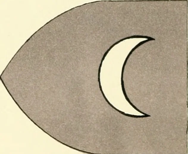 An illustration from Book of the knowledge of all the kingdoms, lands, and lordships that are in the world, 1912, leaf 71