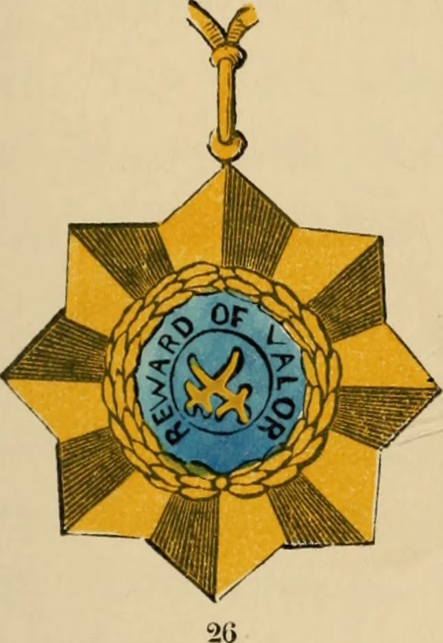 An illustration from The book of orders of knighthood and decorations of honour of all nations ..., 1858, leaf 246