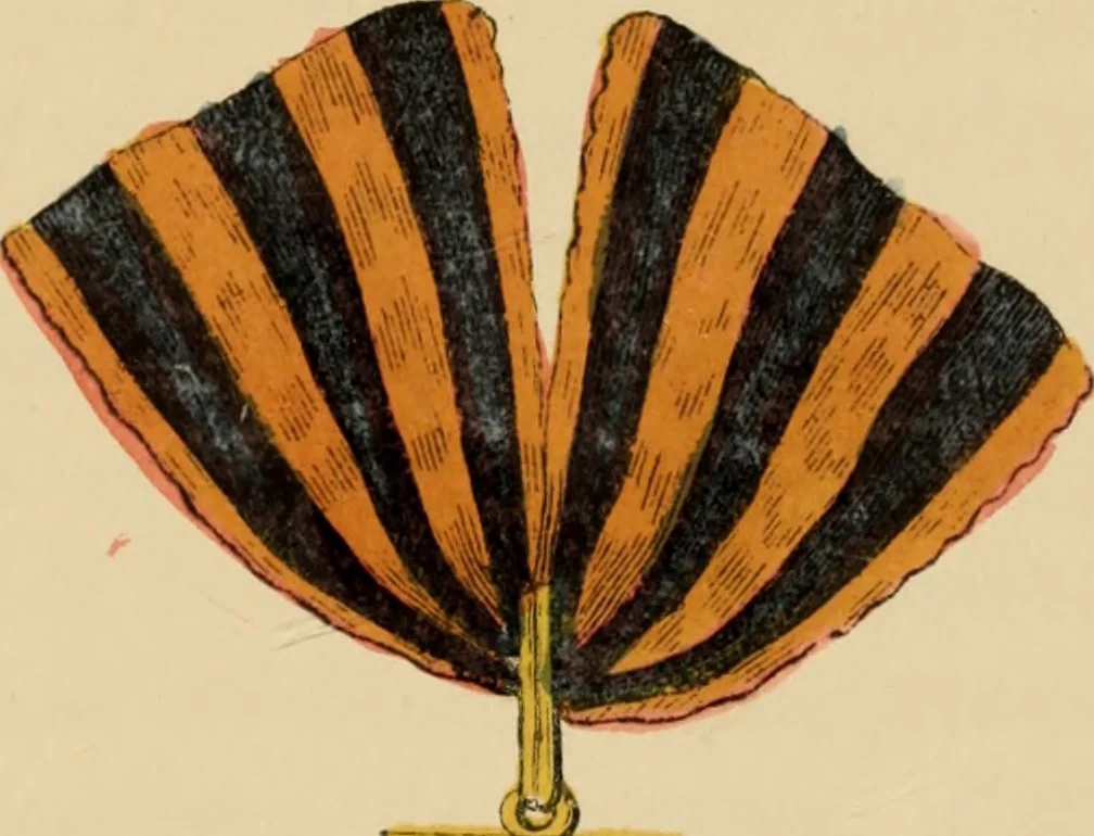 An illustration from The book of orders of knighthood and decorations of honour of all nations ..., 1858, leaf 516