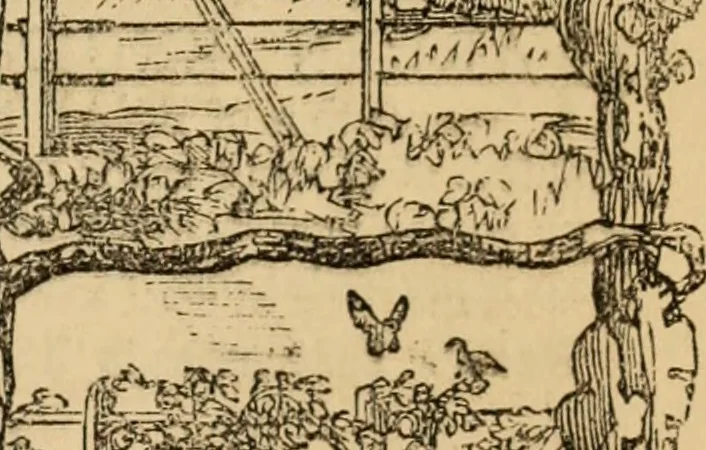 An illustration from The book of orders of knighthood and decorations of honour of all nations ..., 1858, leaf 842