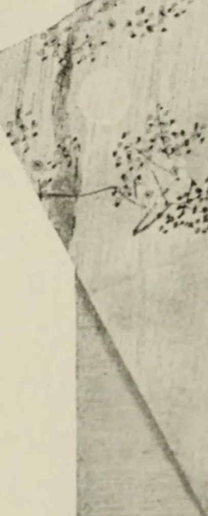 An illustration from A book of original parties, 1925, leaf 12
