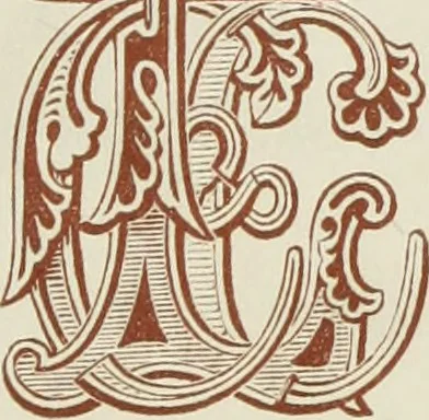 An illustration from The book of ornamental alphabets, ancient and mediaeval, from the eighth century, with numerals; including Gothic; church text, large and small; German arabesque; initials for illumination, monograms, crosses, etc., for the use of architectural and engineering draughtsmen, masons, decorative painters, lithographers, engravers, carvers, etc. etc., 1863, leaf 4