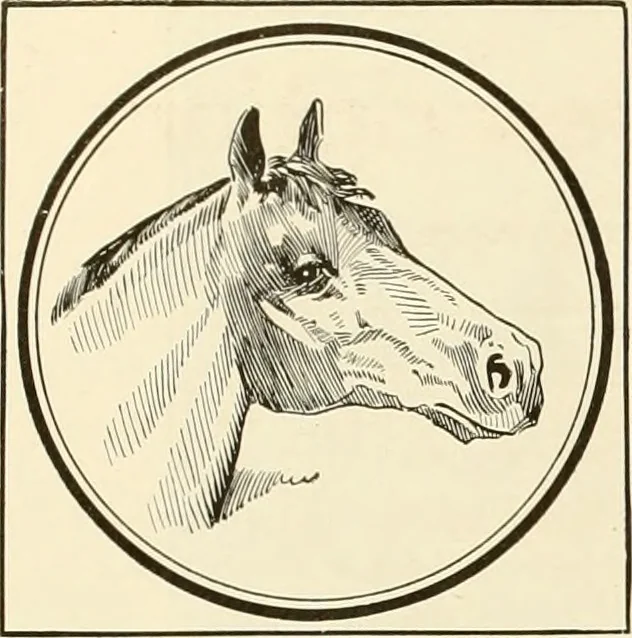 An illustration from Book of plans / Chicago House Wrecking Co., 1913, leaf 81